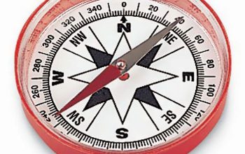 Large compass wall decor