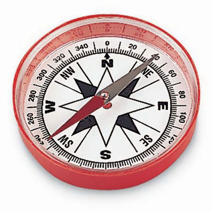 Large compass wall decor