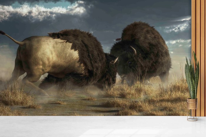 Buffalo bison animals hd animal wallpaper desktop background backgrounds wallup