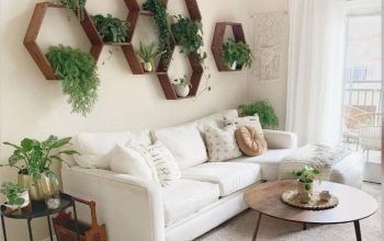 Indoor plant wall decor