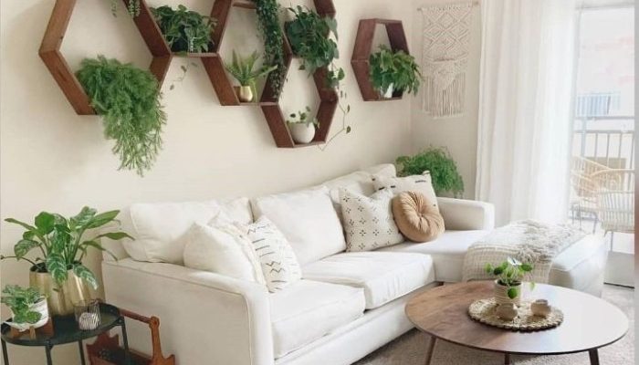 Indoor Plant Wall Decor A Complete Guide