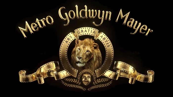 Goldwyn mgm mayer evolution