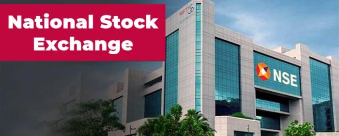 Entero healthcare nse stock price