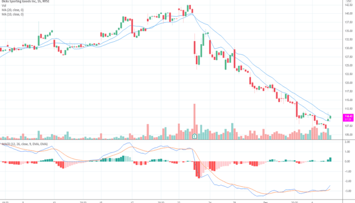 DKS Stock Price A Comprehensive Analysis