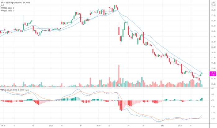 Dks stock price