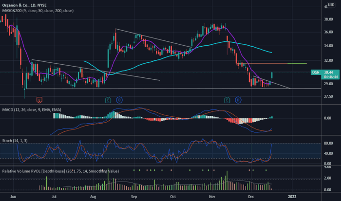 Ogn stock price