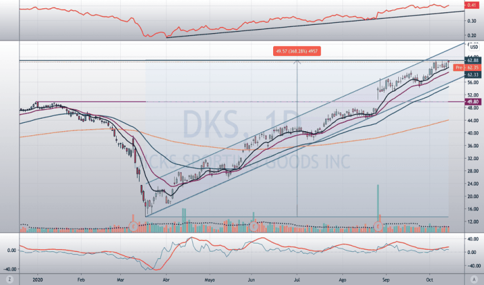 Dks stock price