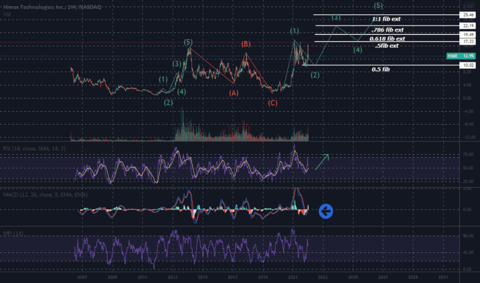 Himx stock price