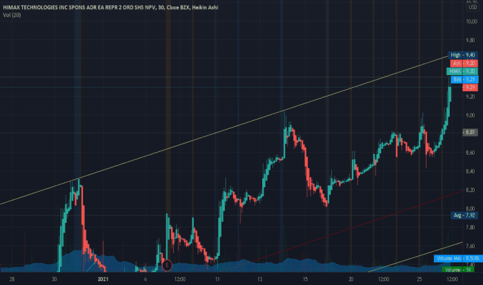 Himx stock price