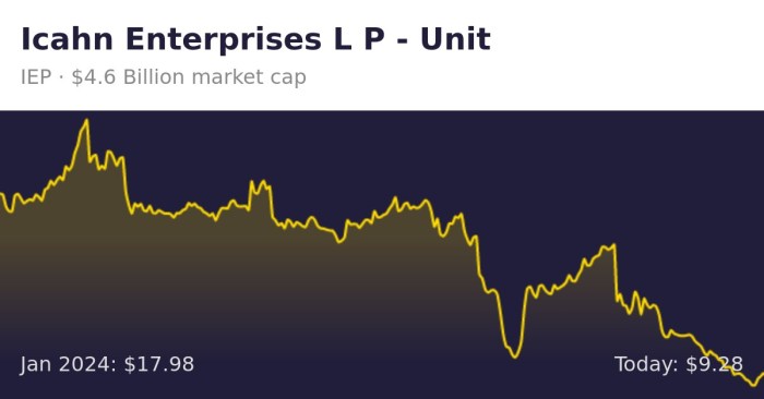 Year icahn enterprises lp history stock iep return