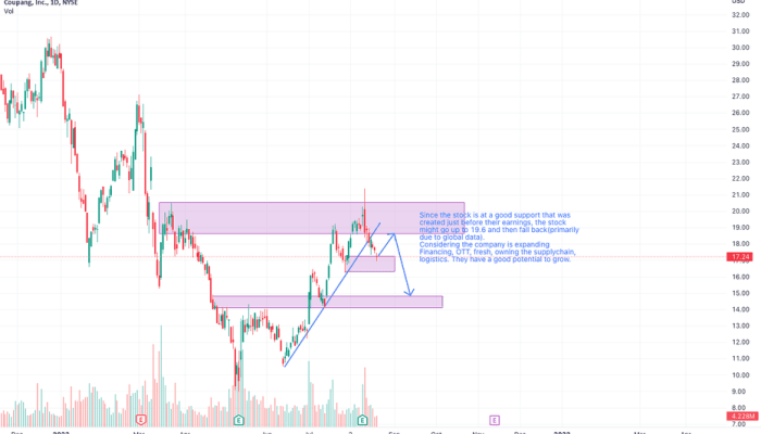 CPNG Stock Price A Comprehensive Analysis