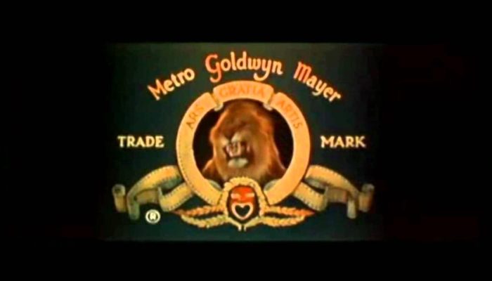 Metro Goldwyn Mayer Stock Price Analysis