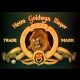 Metro goldwyn mayer stock price