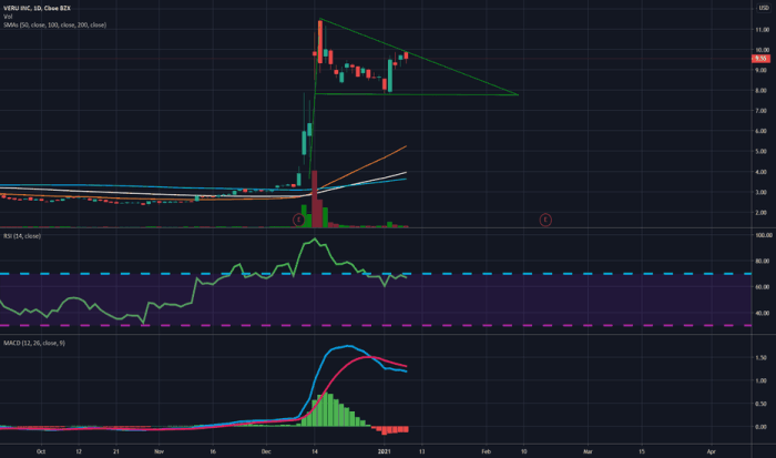 Veru stock price